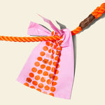Who Gives a Crap recycled dog poo bag tied to a dog leash